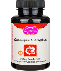 Best Before February 2024 - Dragon Herbs Codonopsis and Zizyphus Combination (100caps 400mg)